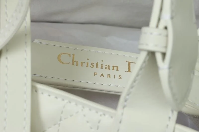 SmoothTexture Christian Dior Shopping Bags 47090