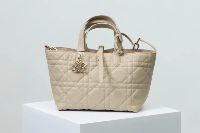 Christian Dior Shopping Bags ZipUp 47085