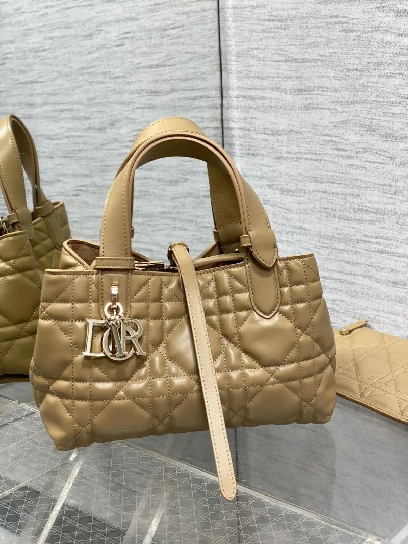 Fashionable Christian Dior Shopping Bags 47099