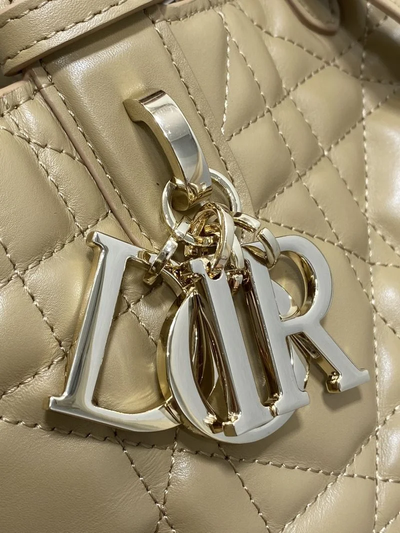 Fashionable Christian Dior Shopping Bags 47099
