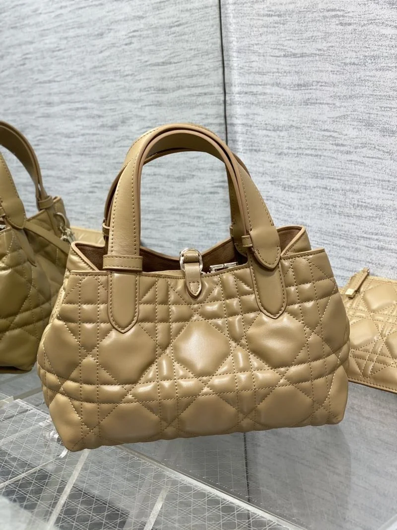 Fashionable Christian Dior Shopping Bags 47099