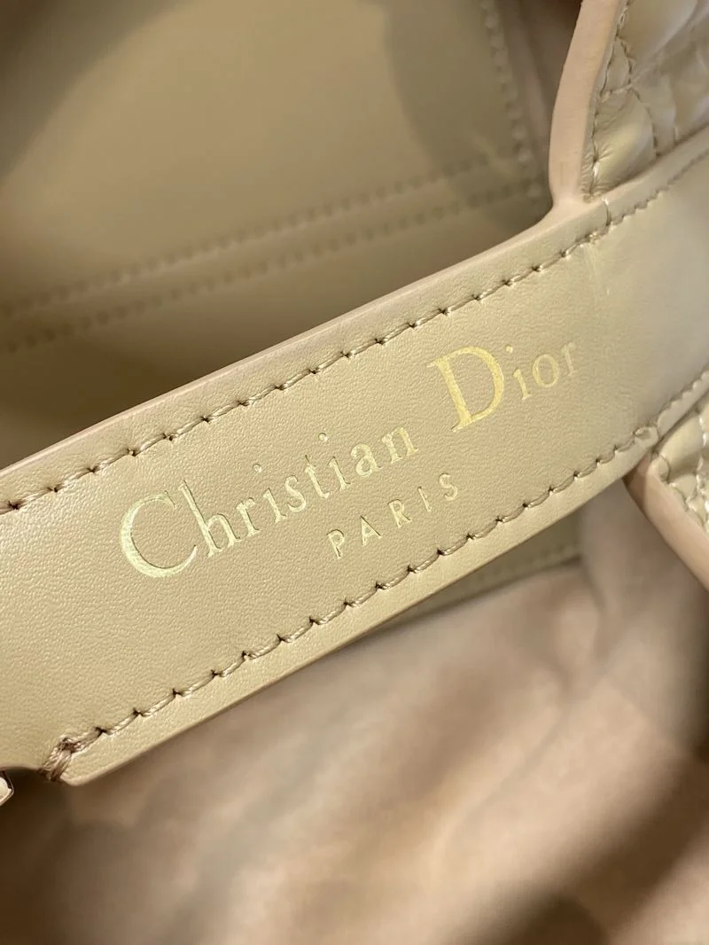 Fashionable Christian Dior Shopping Bags 47099
