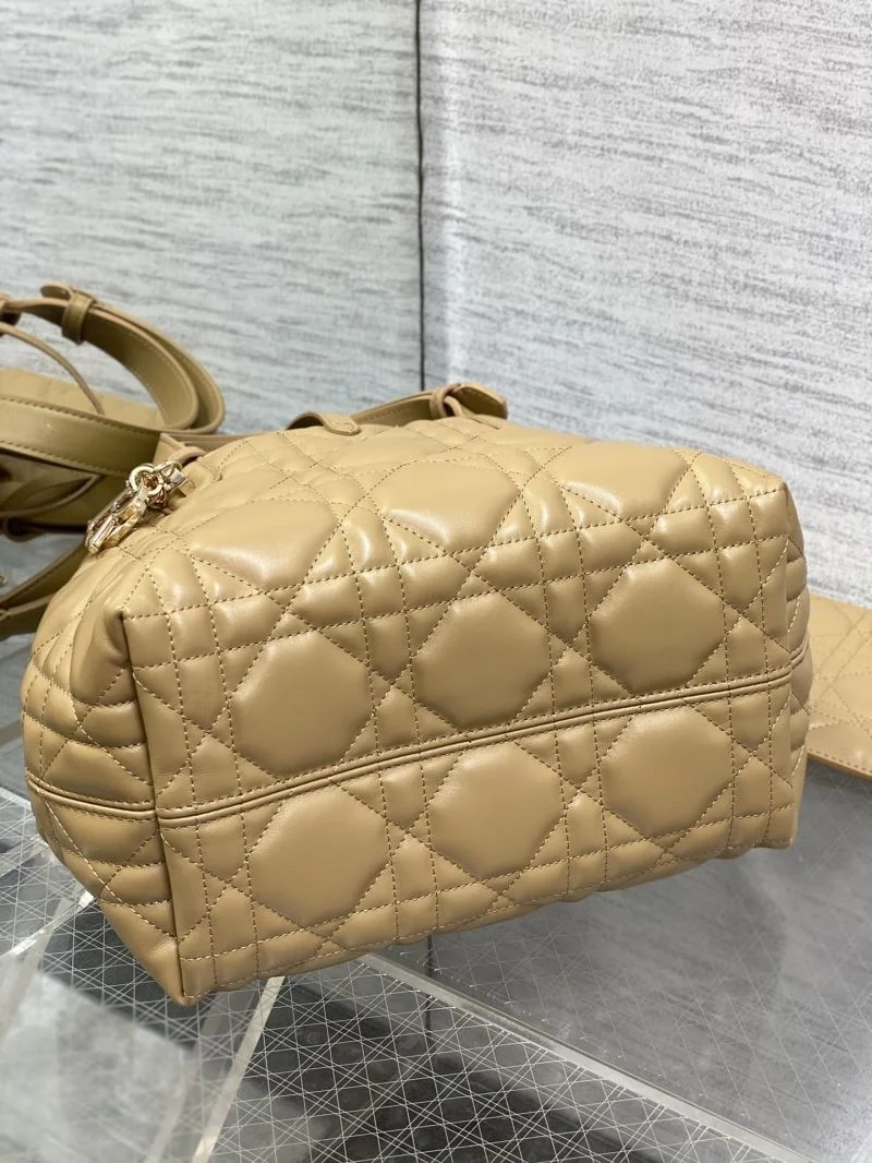 Fashionable Christian Dior Shopping Bags 47099