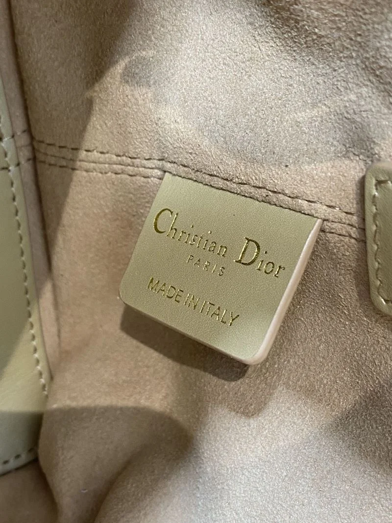 Fashionable Christian Dior Shopping Bags 47099