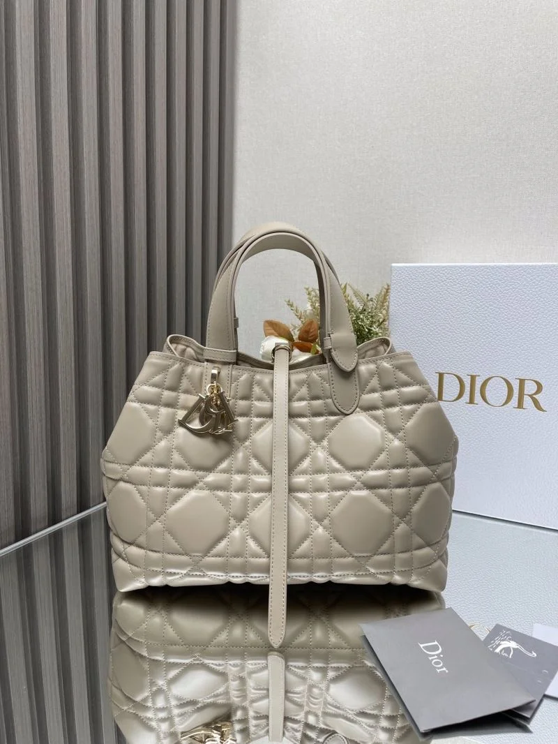 Sleek Christian Dior Shopping Bags 47069