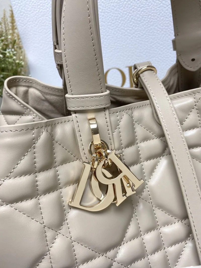 Sleek Christian Dior Shopping Bags 47069