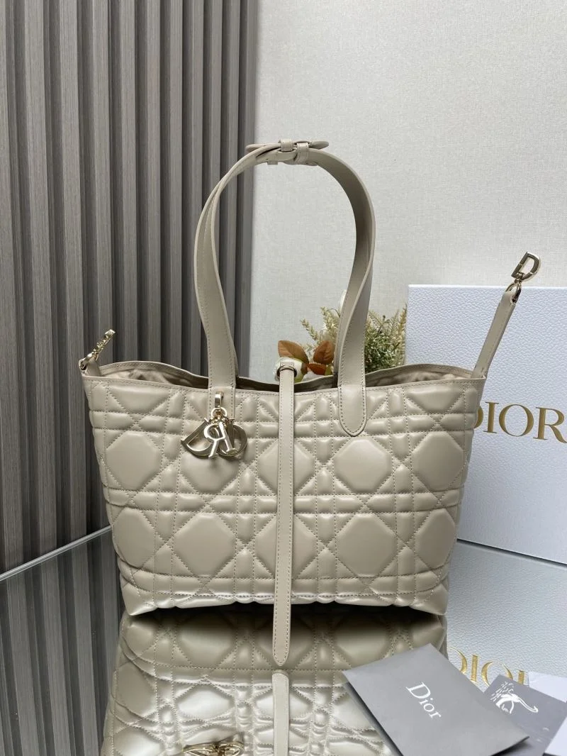 Sleek Christian Dior Shopping Bags 47069