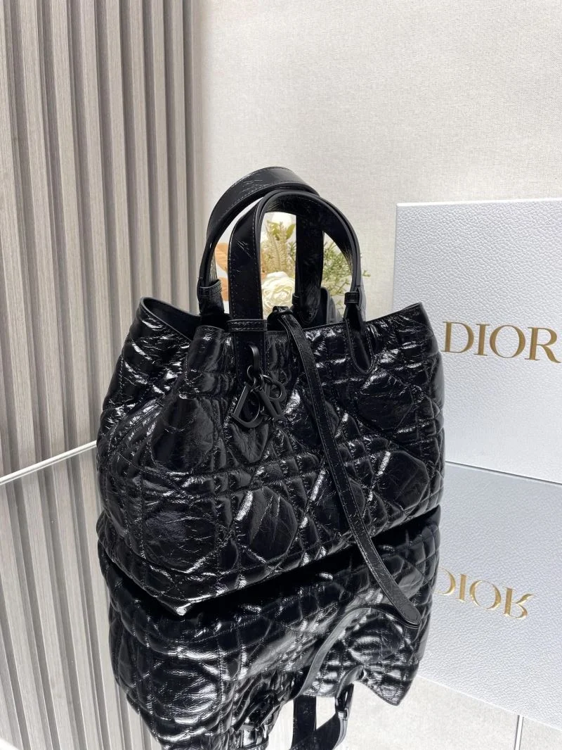 Comfortable Christian Dior Shopping Bags 47078