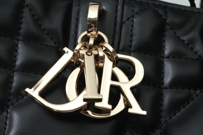Christian Dior Shopping Bags Resilient 47071