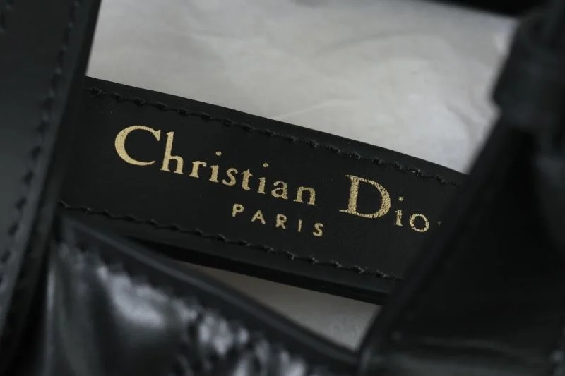 Christian Dior Shopping Bags Resilient 47071