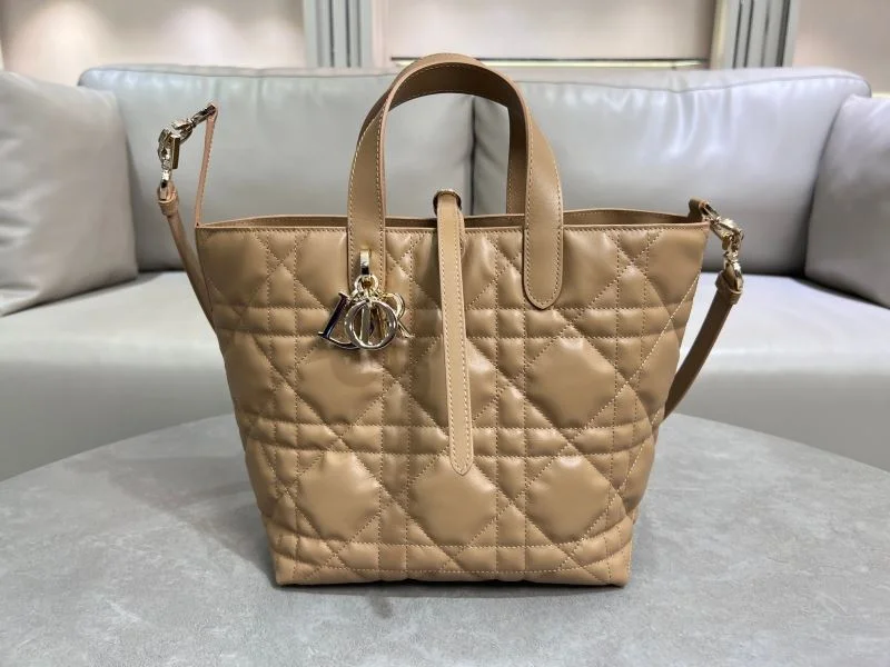 ModernLook Christian Dior Shopping Bags 47073
