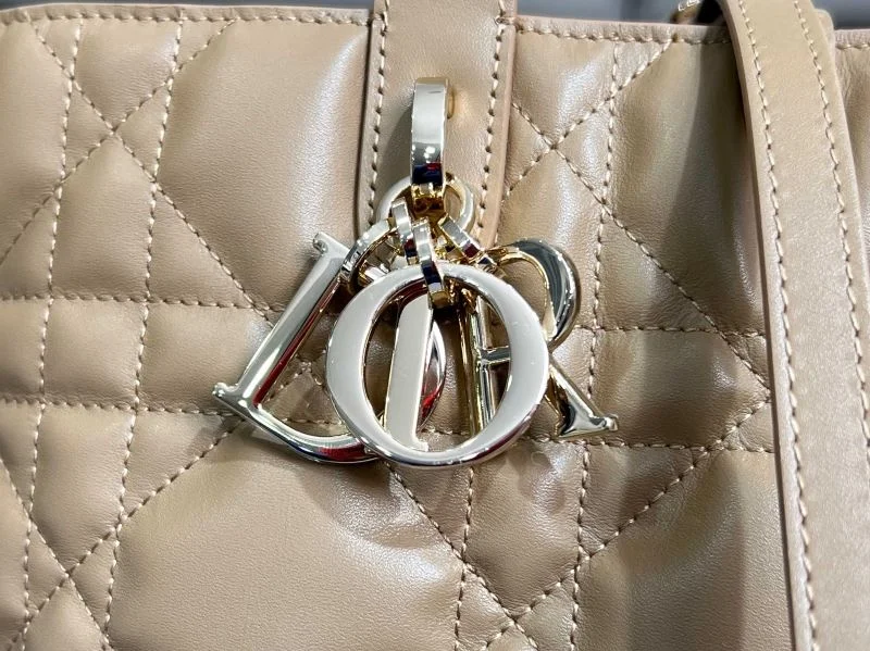 ModernLook Christian Dior Shopping Bags 47073