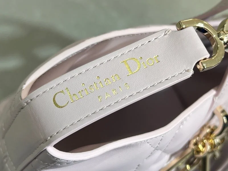 Christian Dior Shopping Bags Resilient 47064