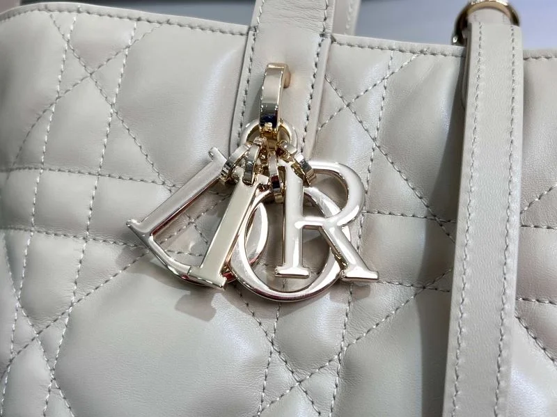 SportInspired Christian Dior Shopping Bags 47076