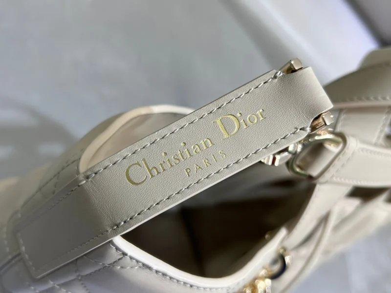 SportInspired Christian Dior Shopping Bags 47076