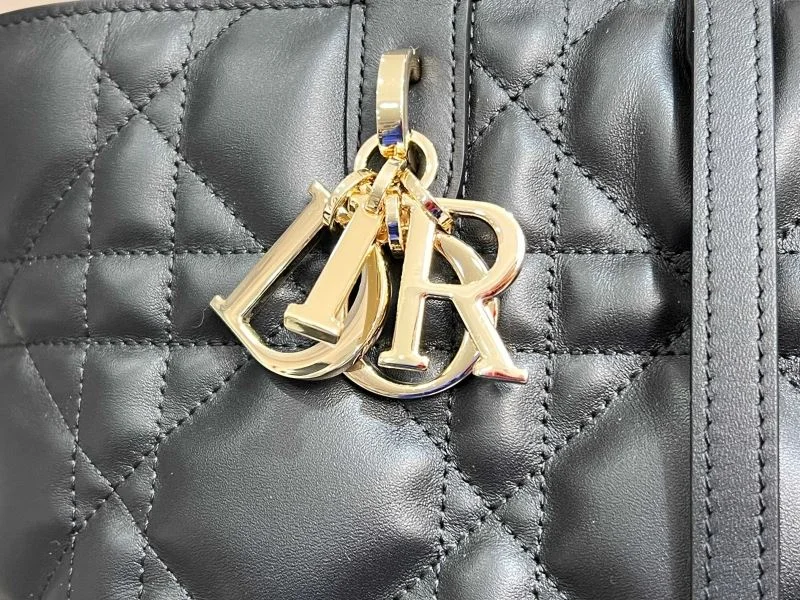 Christian Dior Shopping Bags WeatherProof 47063