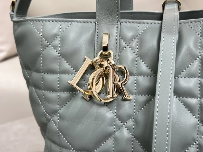 Christian Dior Shopping Bags Bright 47062