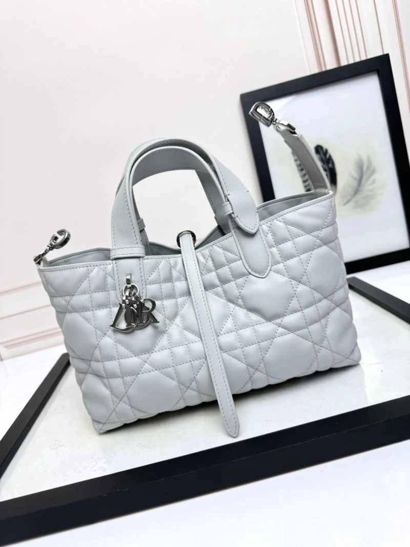 Christian Dior Shopping Bags WeatherProof 47067