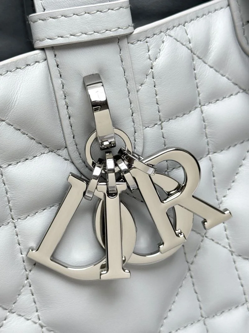 Christian Dior Shopping Bags WeatherProof 47067