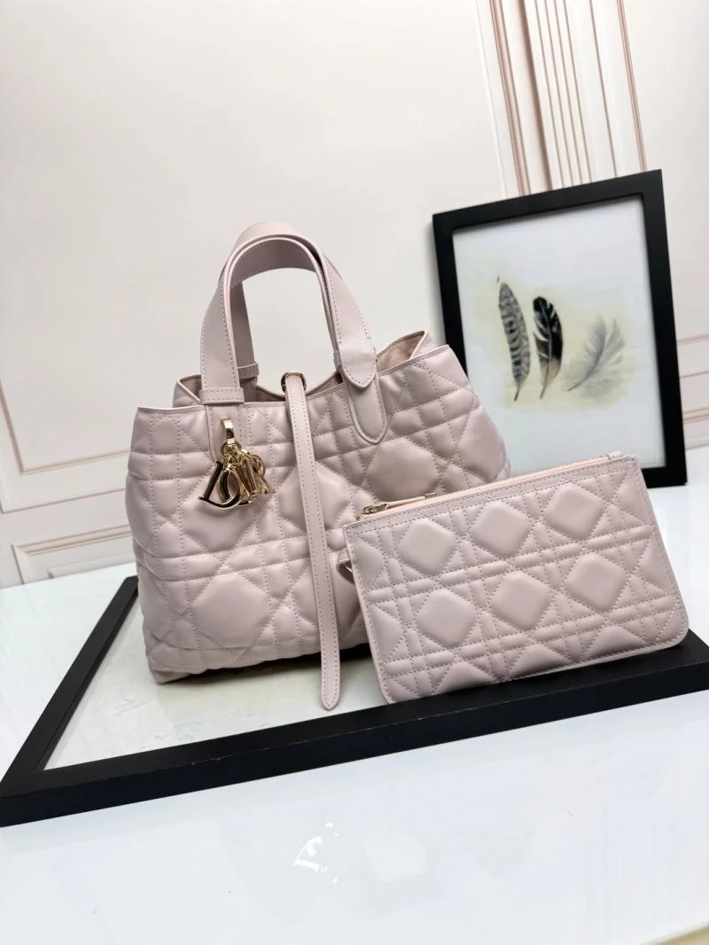 Colorful Christian Dior Shopping Bags 47056