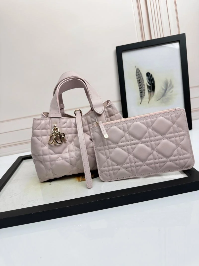 Supportive Christian Dior Shopping Bags 47057