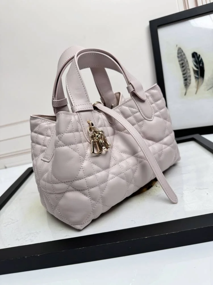 Supportive Christian Dior Shopping Bags 47057