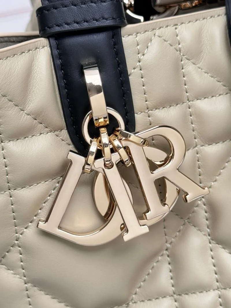 Chic Christian Dior Shopping Bags 47055