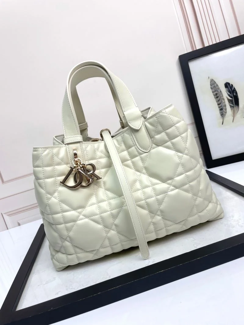 EyeCatching Christian Dior Shopping Bags 47037