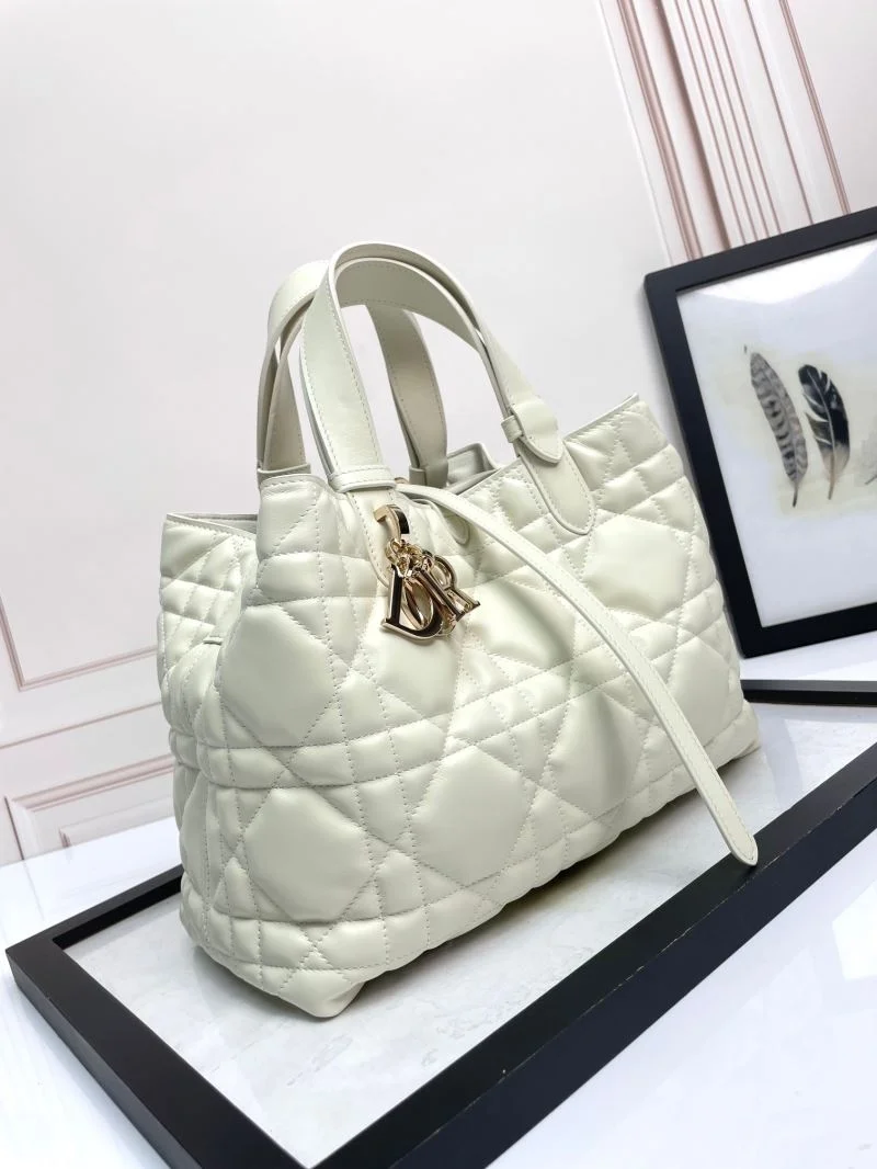 EyeCatching Christian Dior Shopping Bags 47037
