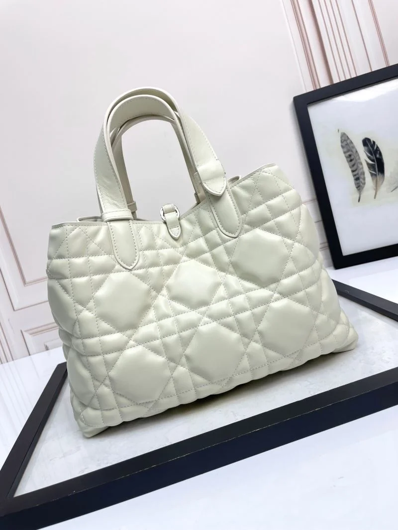 EyeCatching Christian Dior Shopping Bags 47037