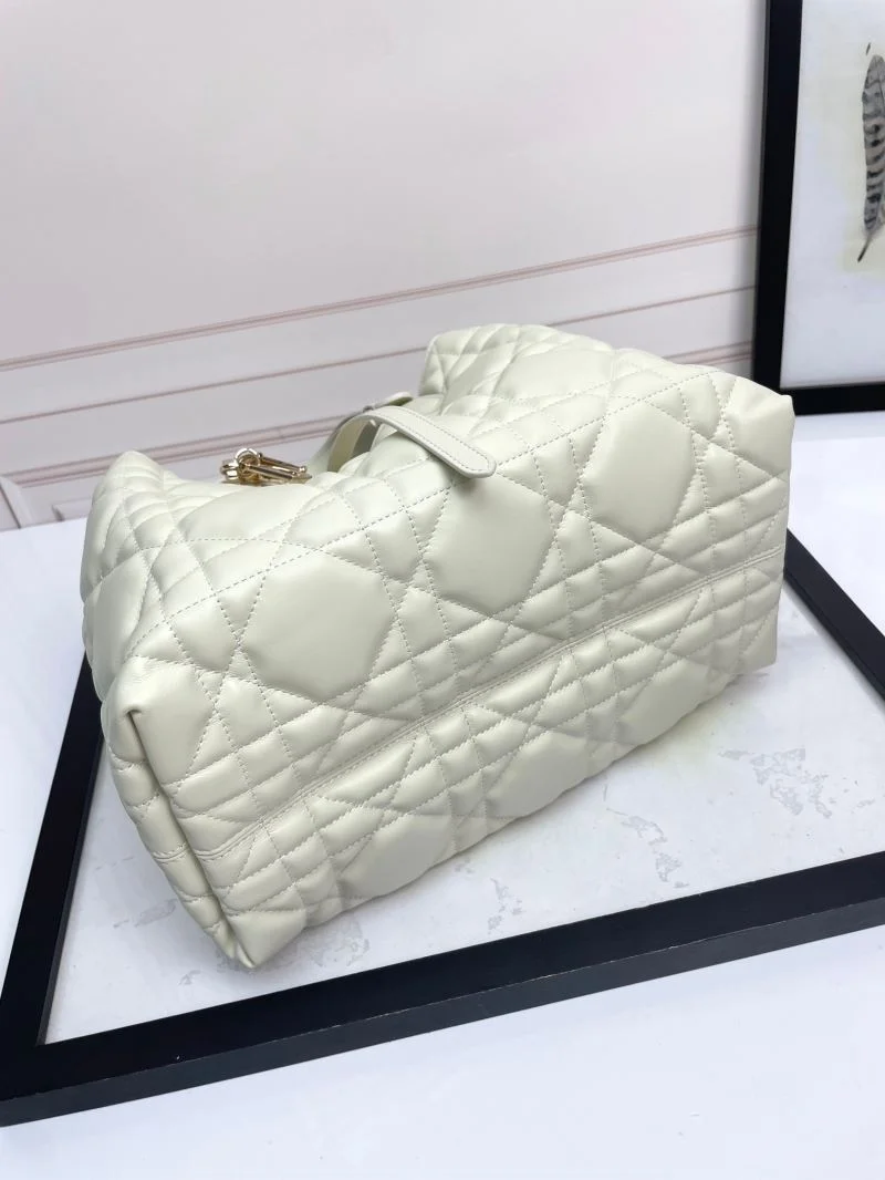 EyeCatching Christian Dior Shopping Bags 47037