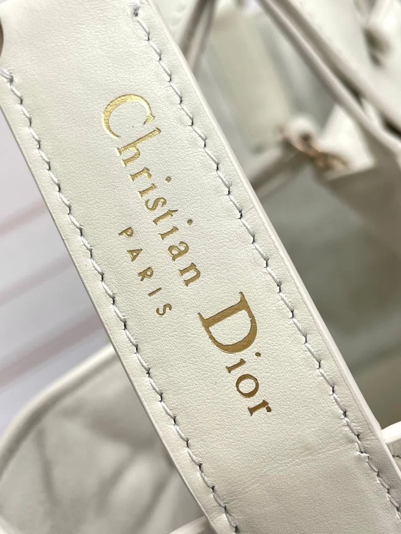 EyeCatching Christian Dior Shopping Bags 47037