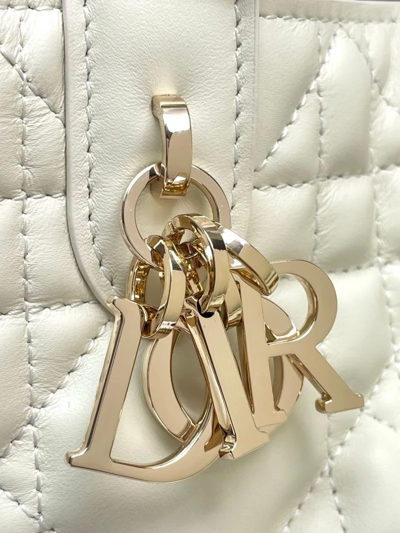 Thermal Christian Dior Shopping Bags 47109