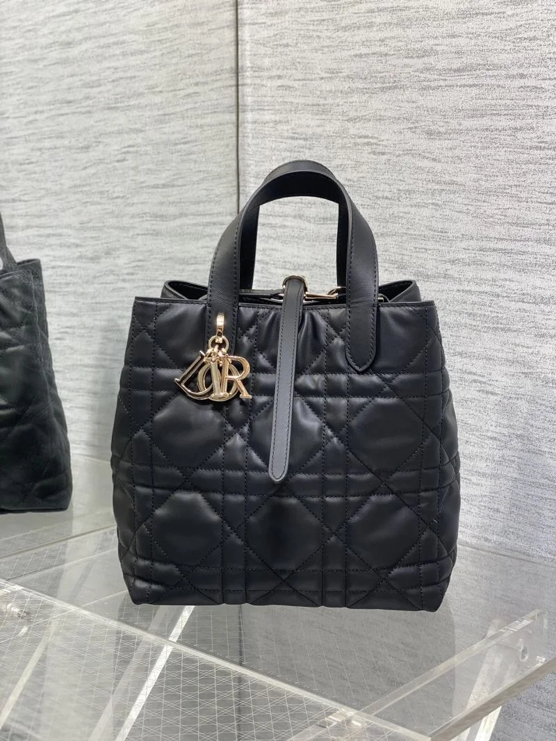 FastDry Christian Dior Shopping Bags 47104