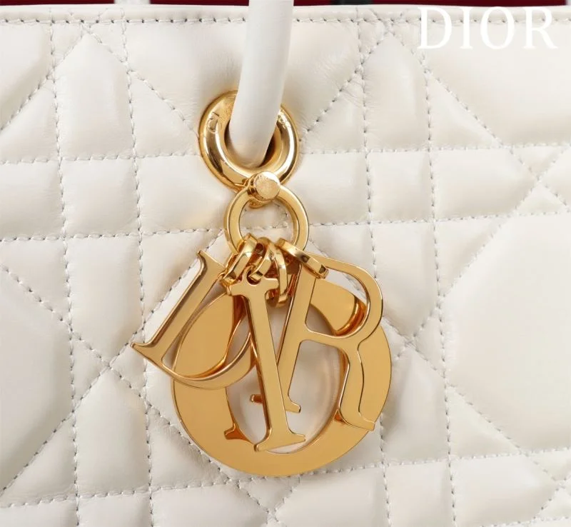 Fashionable Christian Dior Shopping Bags 47034