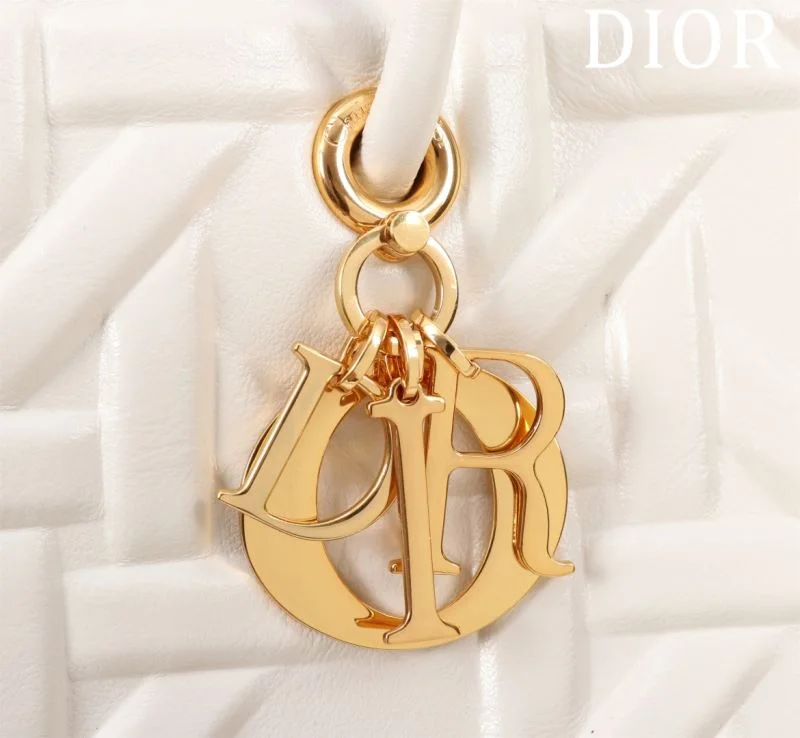 FastDry Christian Dior Shopping Bags 47043