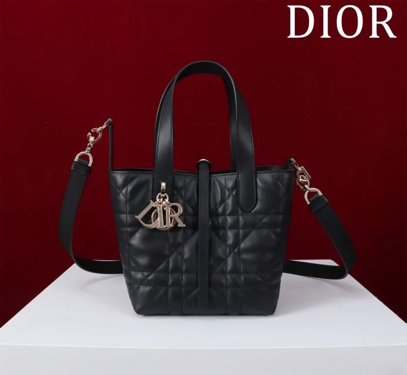 Vibrant Christian Dior Shopping Bags 47032