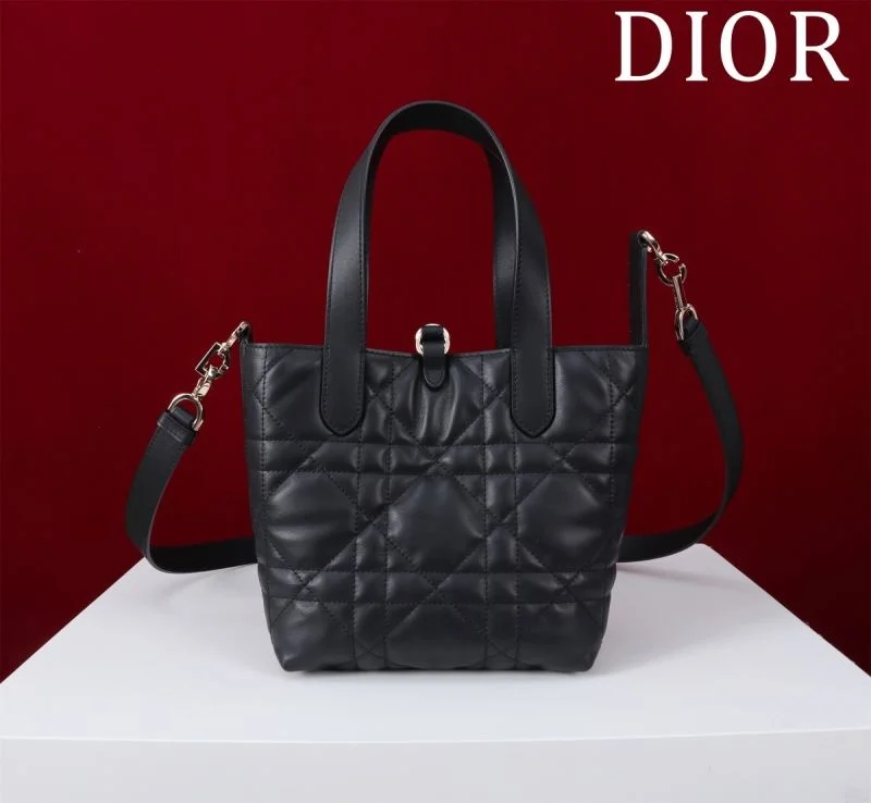 Vibrant Christian Dior Shopping Bags 47032