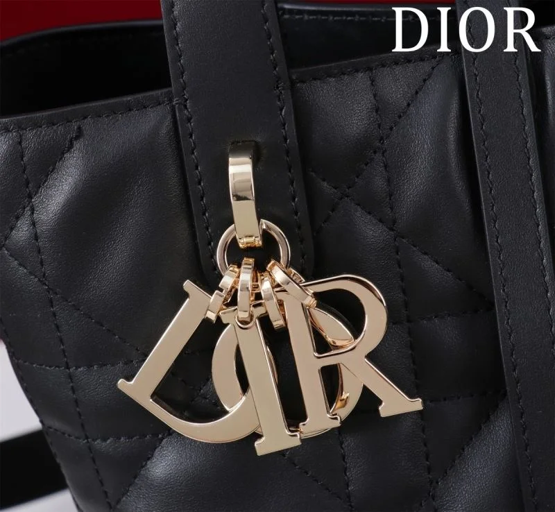 Vibrant Christian Dior Shopping Bags 47032