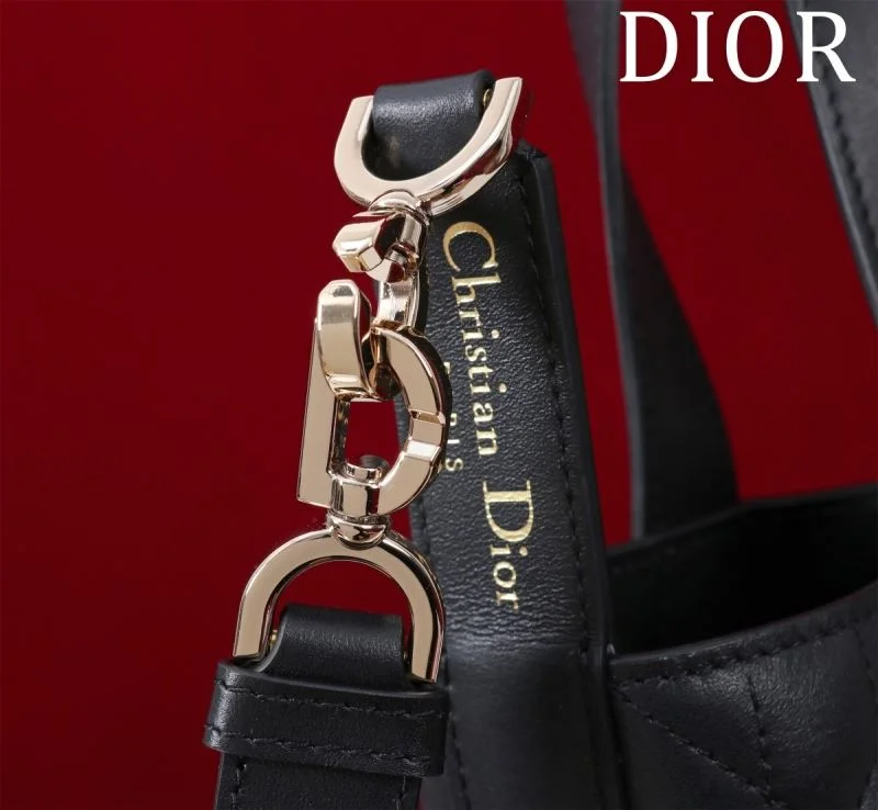 Vibrant Christian Dior Shopping Bags 47032