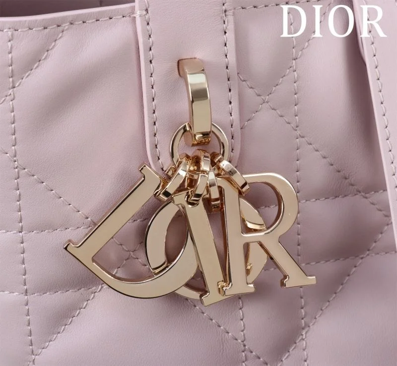 Christian Dior Shopping Bags Fashionable 47029