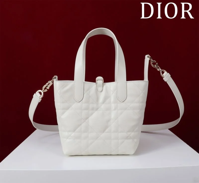 Neat Christian Dior Shopping Bags 47031