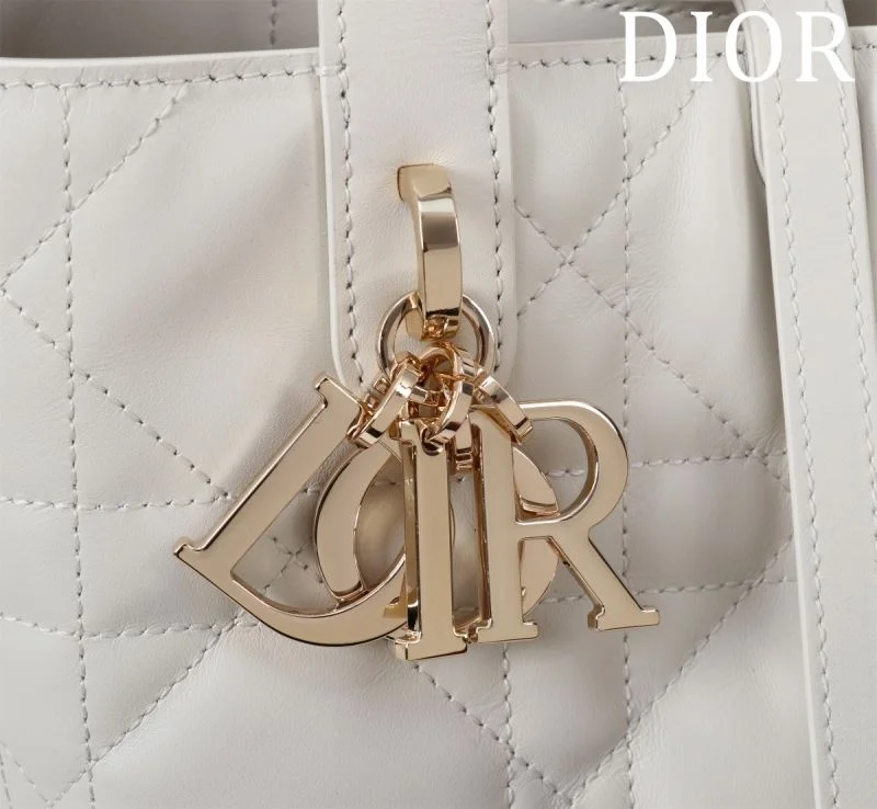 Neat Christian Dior Shopping Bags 47031