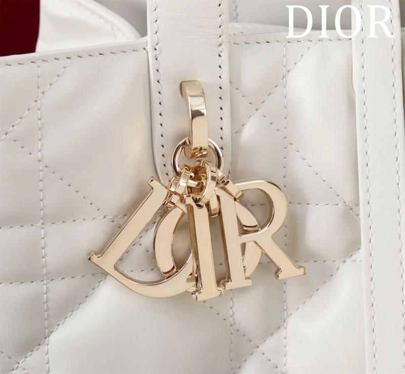 Premium Christian Dior Shopping Bags 47023