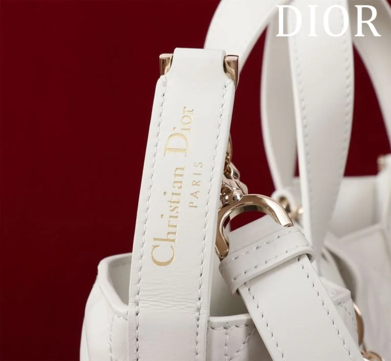 Premium Christian Dior Shopping Bags 47023
