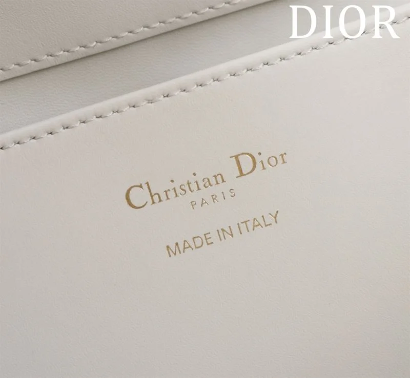 Premium Christian Dior Shopping Bags 47023