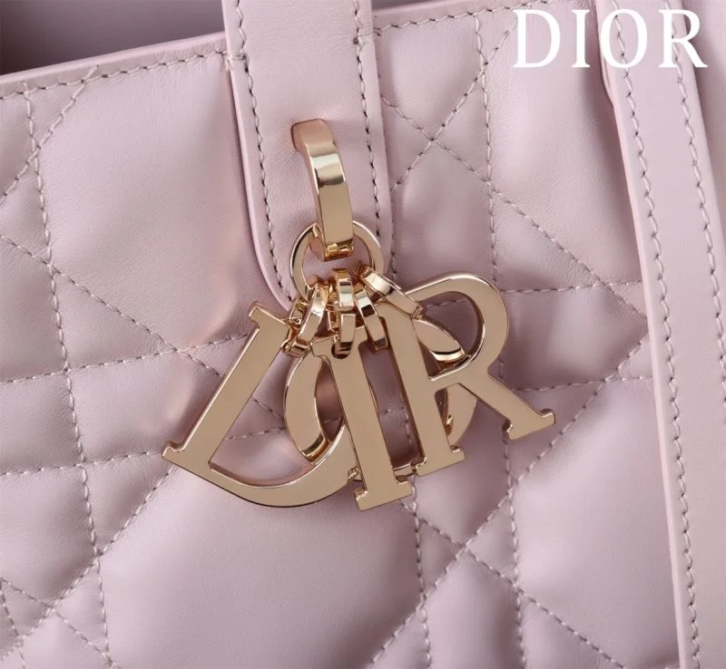 Christian Dior Shopping Bags EasyCare 47021
