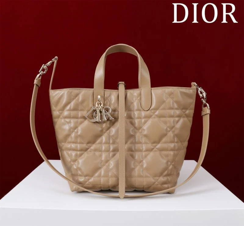 Christian Dior Shopping Bags WellDesigned 47051