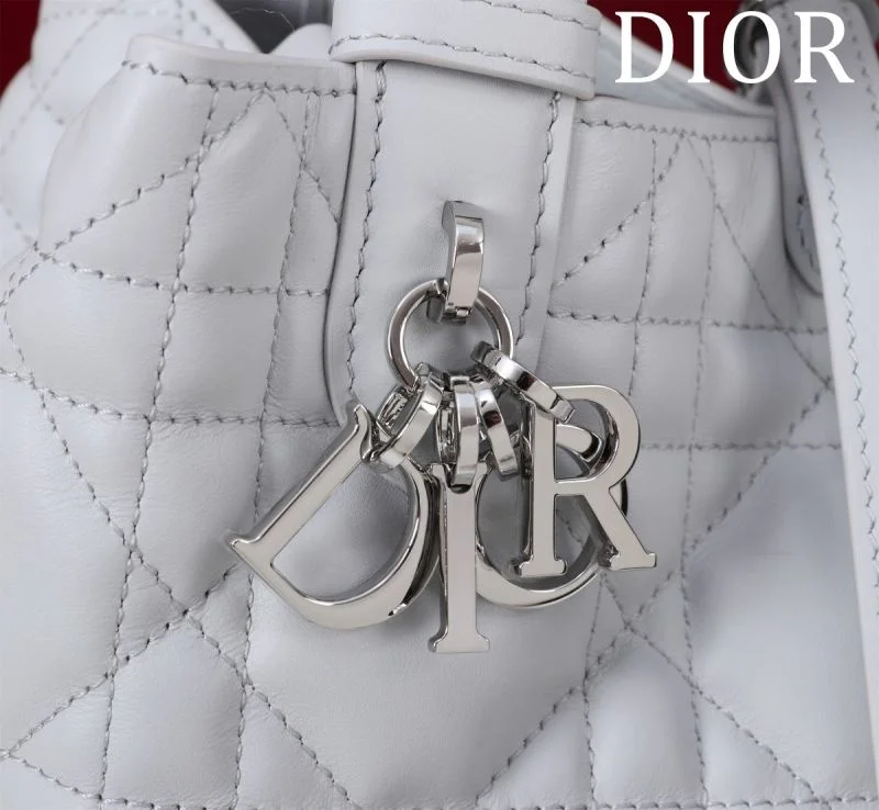 Elegant Christian Dior Shopping Bags 47018