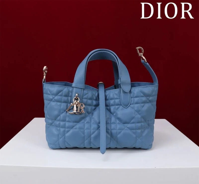 StreetReady Christian Dior Shopping Bags 47013